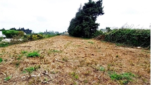 terrain à la vente -   84450  JONQUERETTES, surface 0 m2 vente terrain - UBI476777384